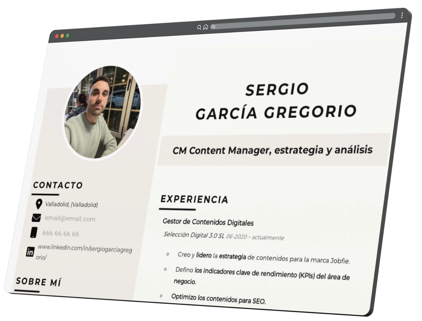 Ejemplo de CV optimizado