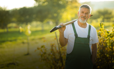 Imagen de la profesión Trabajo jardinero